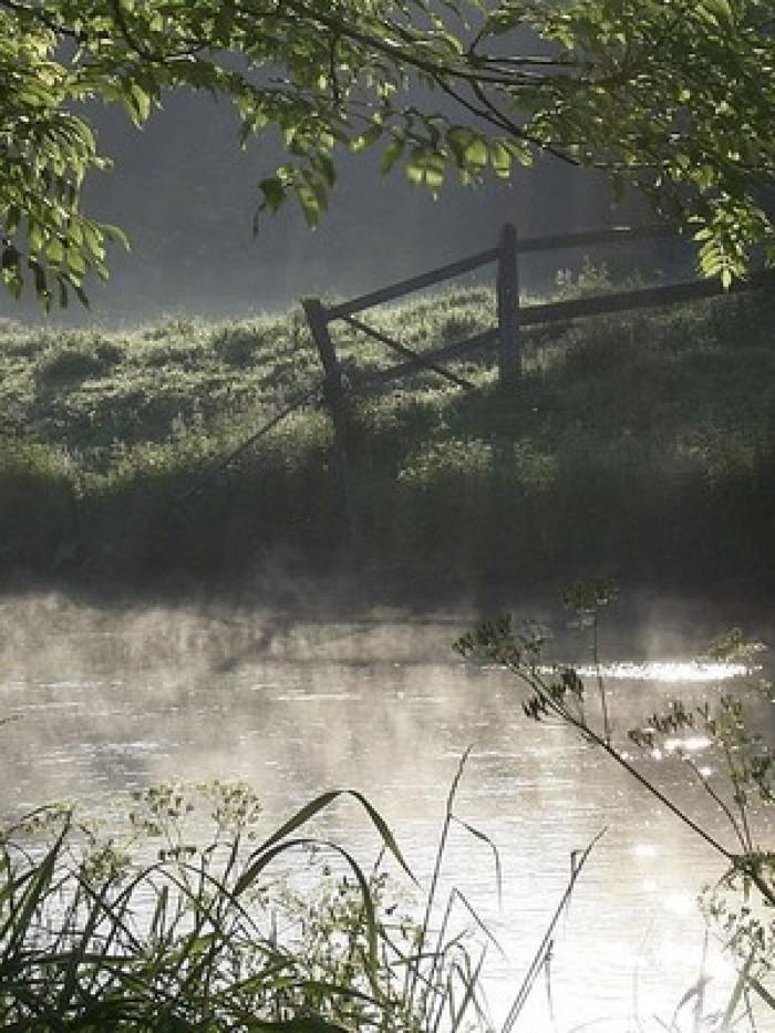 Heimat an der Erft (Homeland on the Erft)